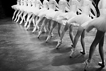 Obraz na stenu Balerína, primabalerina baletka balet ballet tanec tancovanie umenie